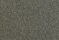 ダークシルバー(DS)【0222】